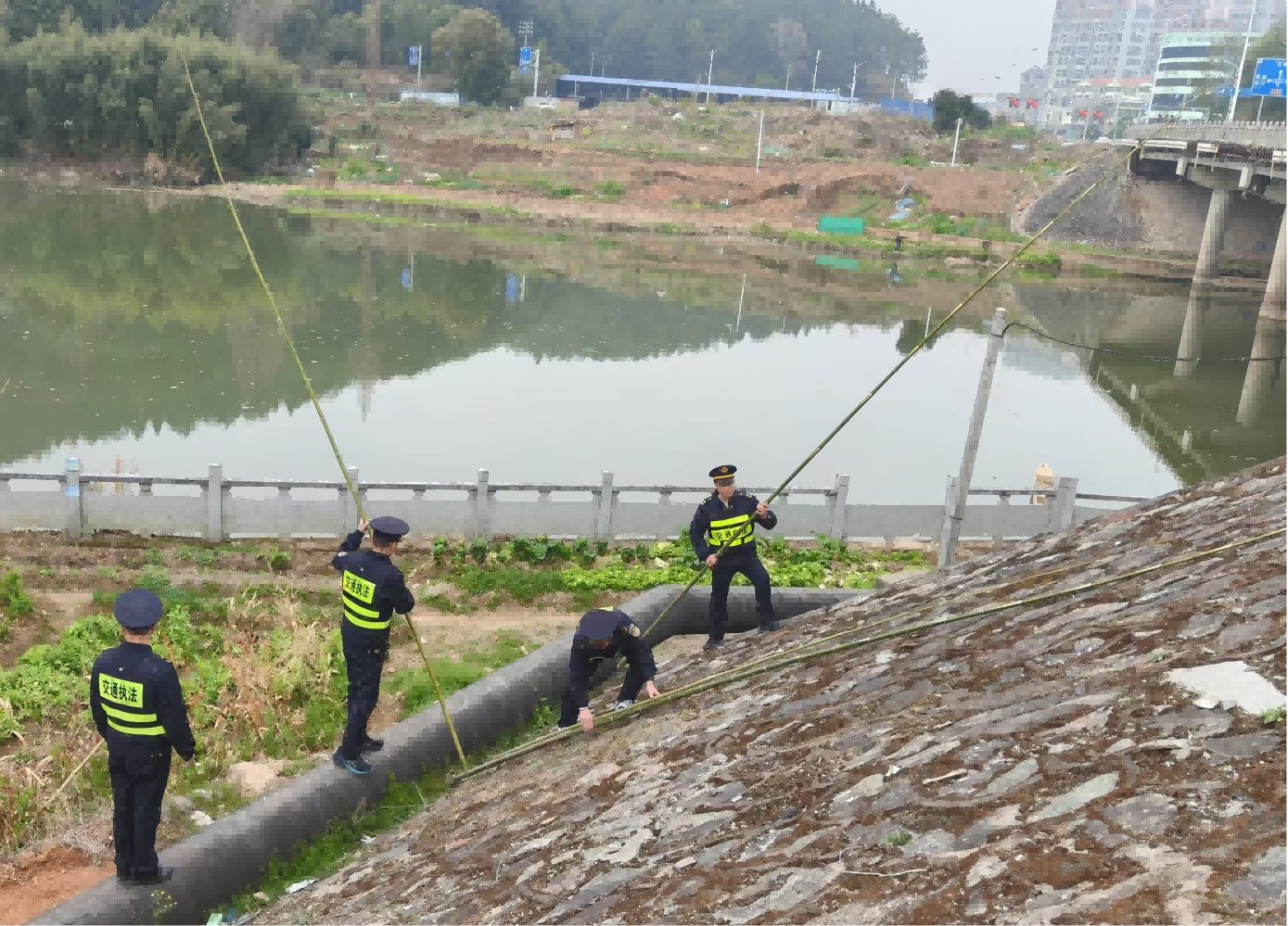 71eab50ffe53fc888e4f6214275cfd12_W020250226610393813349